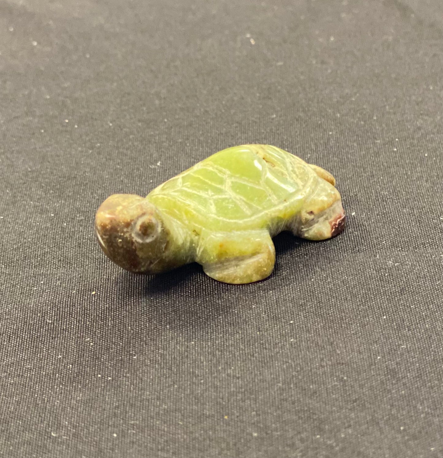 Turtle Carvings