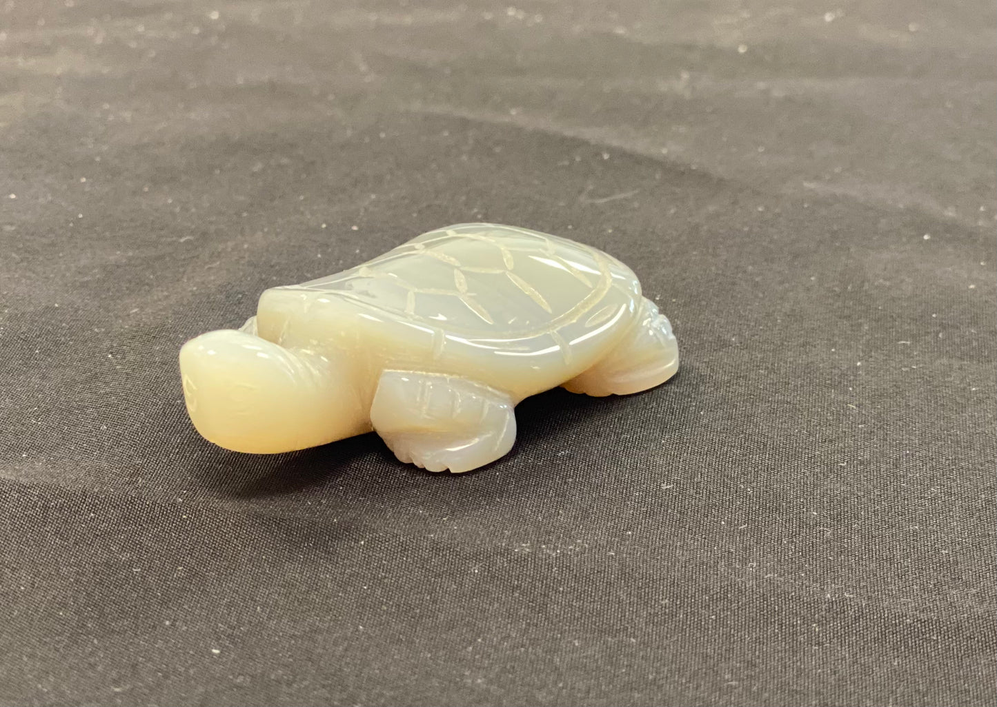 Turtle Carvings