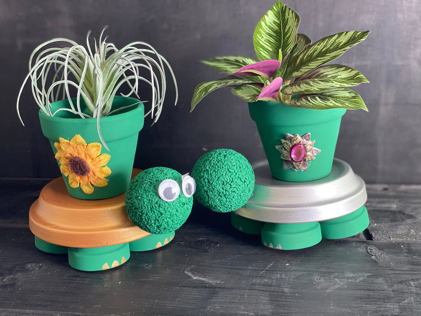 Make and Take Turtle Planter Workshop May 4, 2025 @2pm