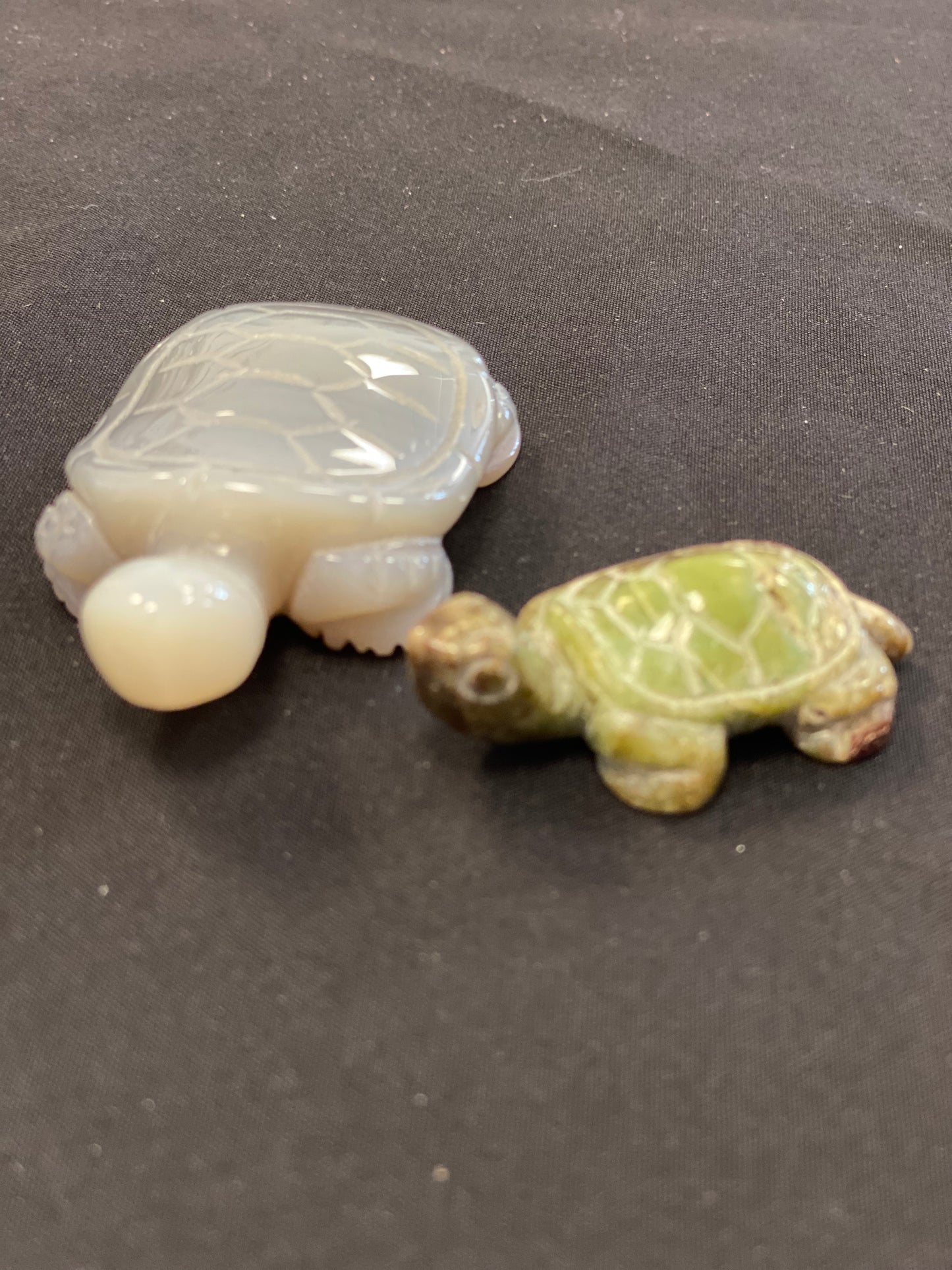 Turtle Carvings