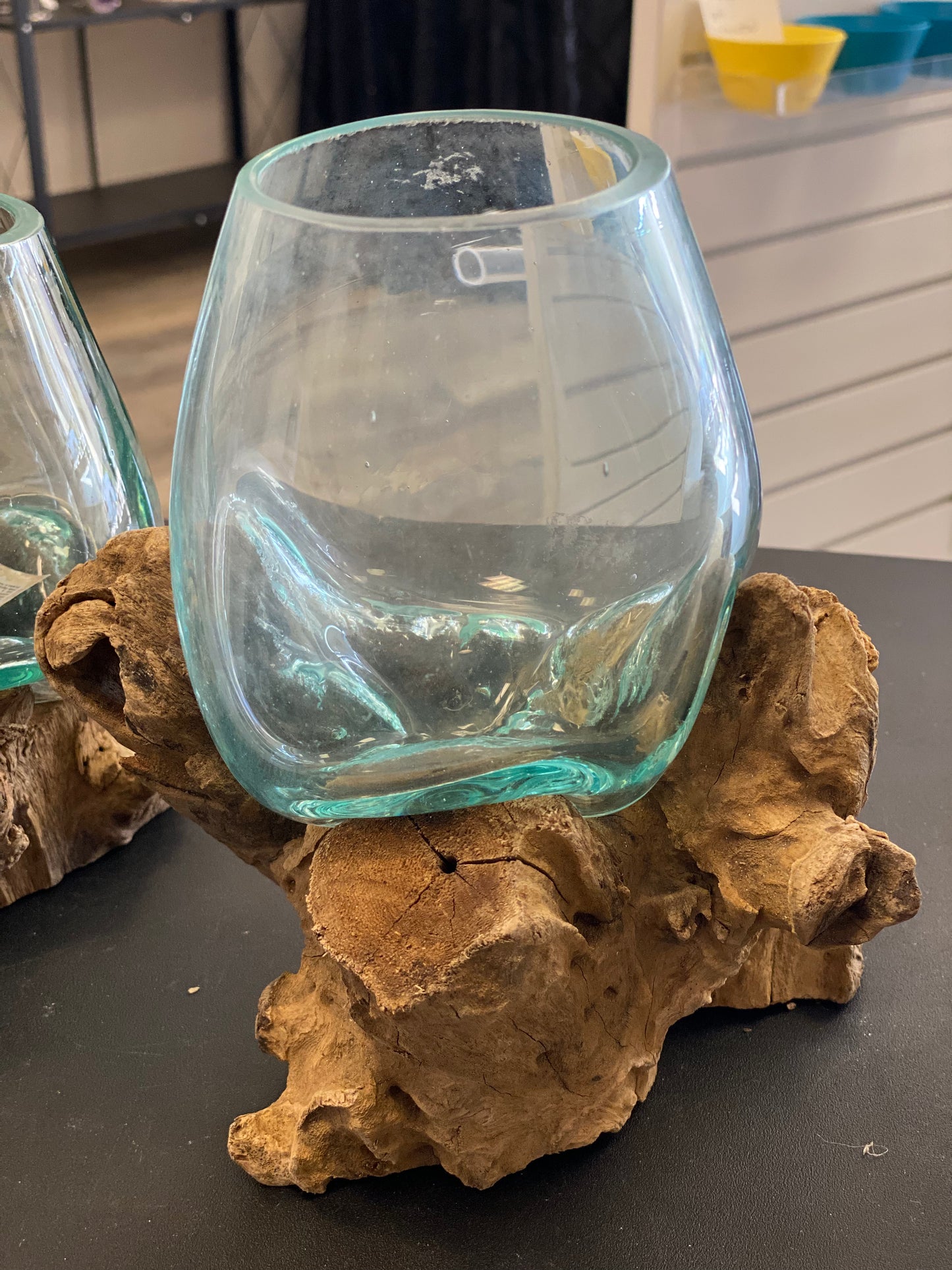 Driftwood Terrariums