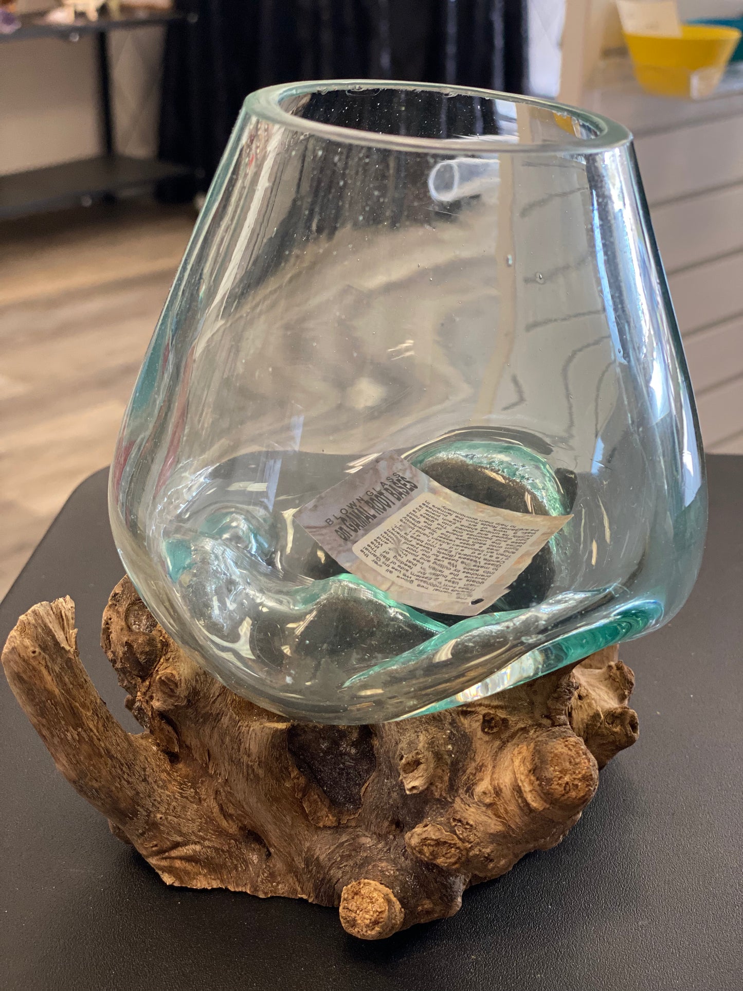 Driftwood Terrariums